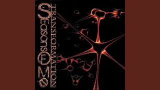 Distorted Mind
