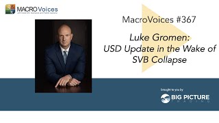 MacroVoices #367 Luke Gromen: USD Update in the Wake of SVB Collapse screenshot 2