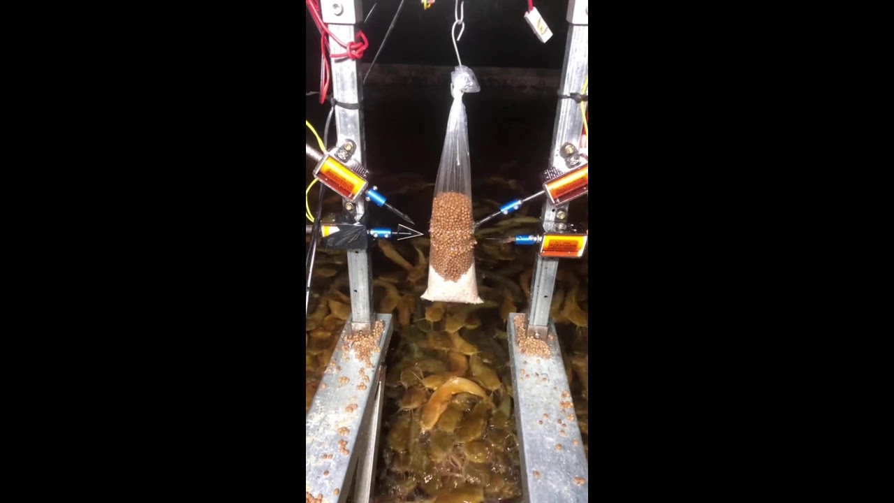 Прямая трансляция пользователя KUSHO20