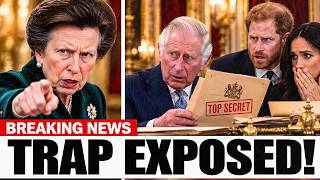 "PUT THE PEN DOWN!" Princess Anne STOPS Charles Signing Harry’s Deal!