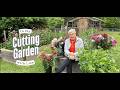 In the Cutting Garden with Lisa | Late Spring Blooms & What’s Growing Now