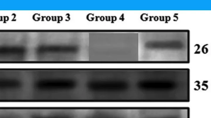 CCB668300ABDAE33925325A6CBDC4F#2