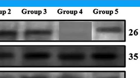 CCB668300ABDAE33925325A6CBDC4F#2