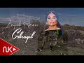 Zeynəb Həsəni — Cəbrayıl