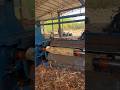 Strong Workers vs Heavy Log Debarking Machine 😲”part 466#shorts #wood #viral #woodworking