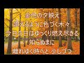Autumn Park  【歌詞付き】ocarina