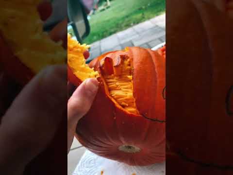 Pumpkin Day Tiktok