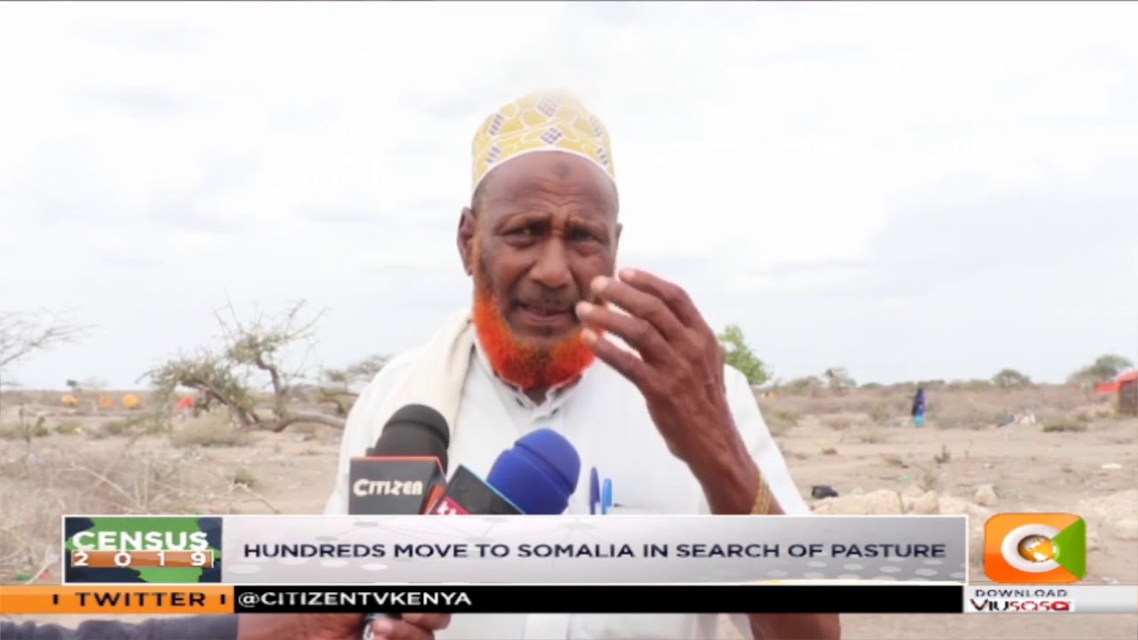citizen tv live stream kenya Wajir drought; hundreds move to Somalia in search of pasture