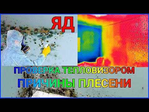 КАК НАВСЕГДА ВЫВЕСТИ  ПЛЕСЕНЬ БЕЗ ЯДОВИТЫХ СРЕДСТВ