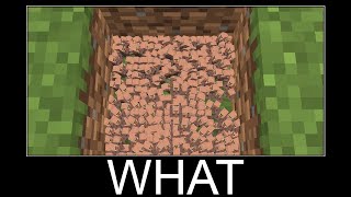 Minecraft WAIT WHAT meme 24/7 Livestream #443