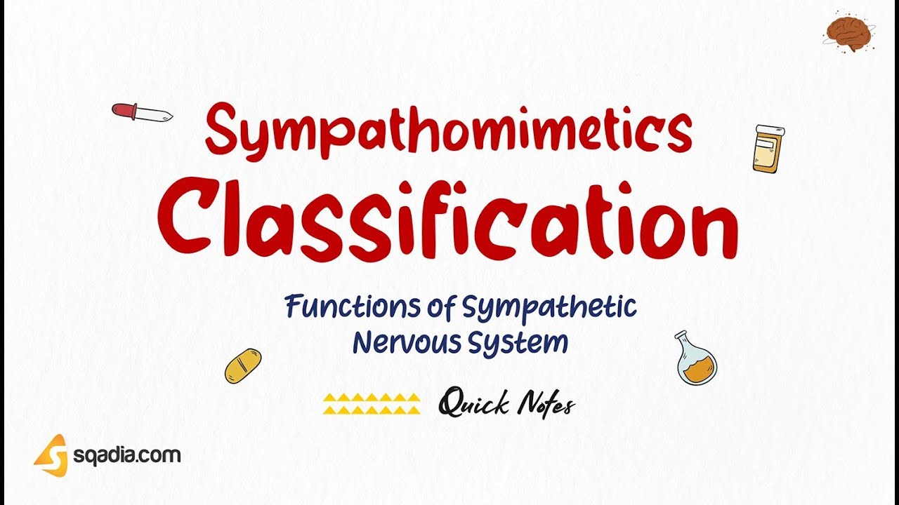 Functions of Sympathetic Nervous System | Sympathomimetics Classification