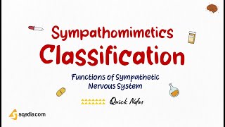 Functions of Sympathetic Nervous System | Sympathomimetics Classification