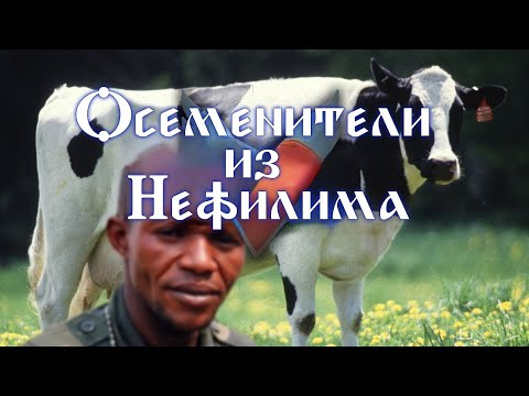 Видео: Обзор на Breeders of the Nephelym - Any% Speedrun [SsethTzeentach RUS VO]