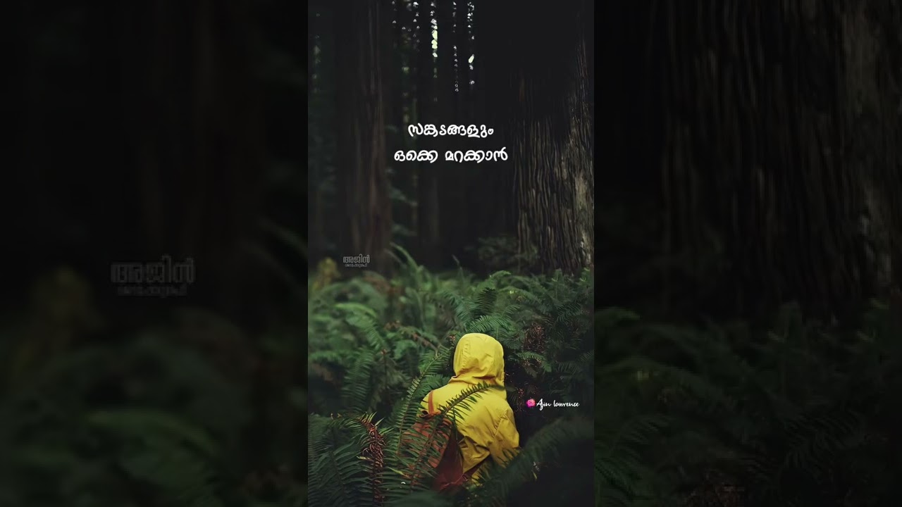 One good travel || Malayalam WhatsApp status