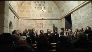Aguinaldo de Ferreruela (Zamora)