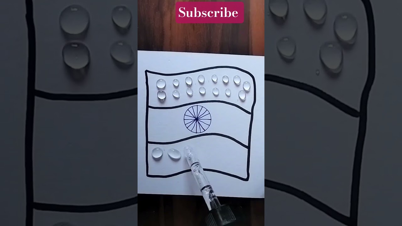 Indian flag activity 🇮🇳 