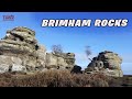 A Walk Through The National Trust Site At Brimham Rocks