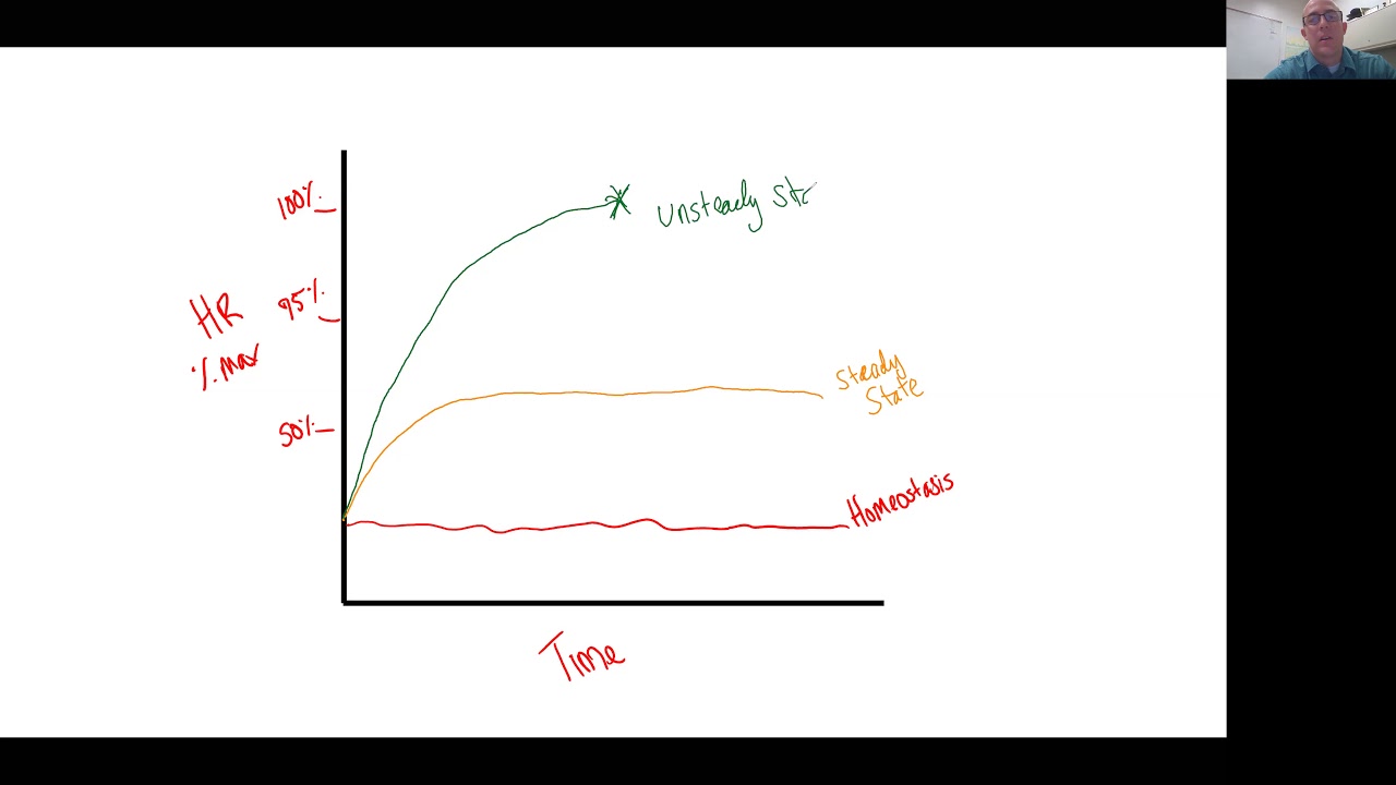 Intro to Steady State Exercise 