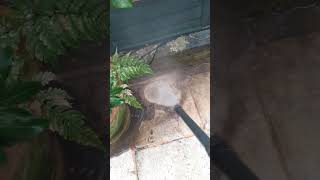 Husqvarna 480 professional power wash of stone, Hampstead, London