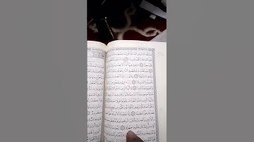 سورة الأحزاب الشيخ سعود الشريم حفظه الله