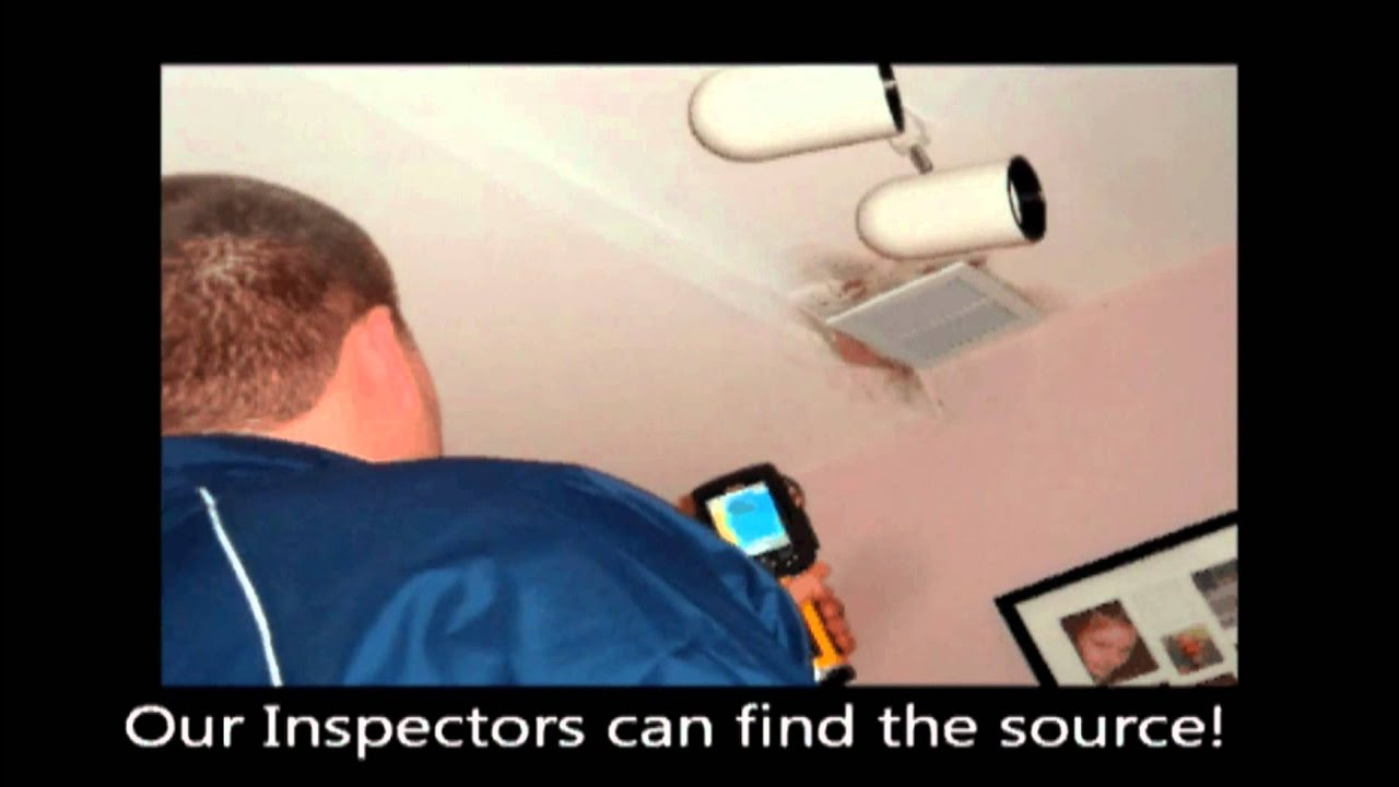 Chicago Mold Inspection