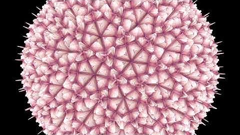 Cinema 4d MoFractal default phong