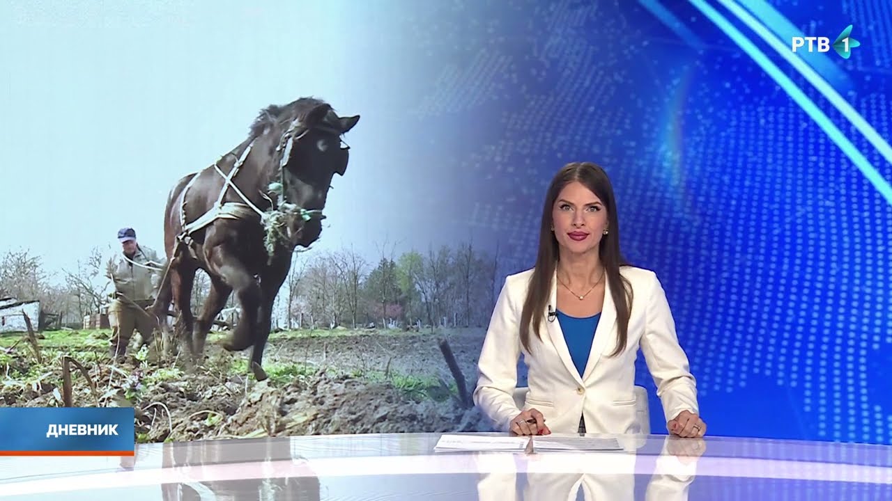 U Ljutovu kod Subotice još možete videti kako se ore uz pomoć konja