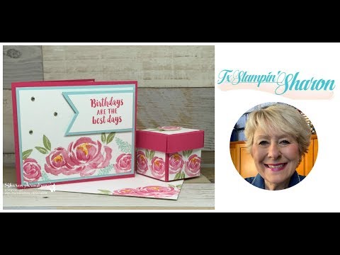 the-best-birthday-wishes-in-a-gorgeous-card-&-coordinating-gift-box