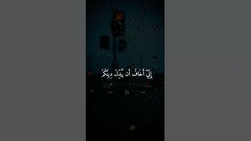 وقال فرعون ذروني/تلاوه جميله #بصوت_القارئ عبيده موفق