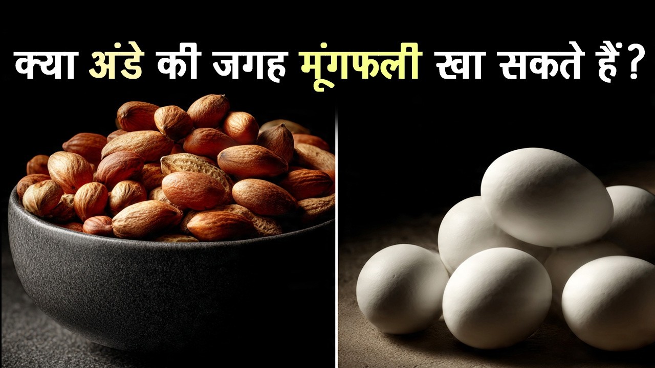 🥚 क्या अंडे की जगह मूंगफली खा सकते हैं? 😲सच्चाई जानिए!