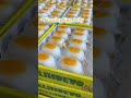Flowing Egg Jelly，Interested in direct import agents are welcome to contact us.#candy #max #jelly