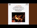 Miniature de la vidéo de la chanson Weihnachts-Oratorium, Bwv 248: Teil V, Li. Aria Terzetto (Soprano, Alto, Tenore) "Ach, Wenn Wird Die Zeit Erscheinen"