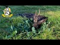 Teufelsmoor - die Jagd auf den schwarzen Bock