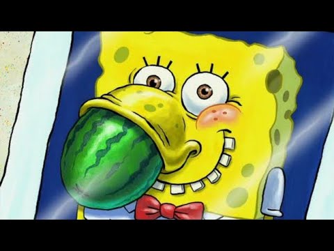 Spongebob Squaredubs is finally back!!!