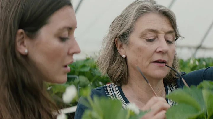 Hugh Lowe Farms- Our Story