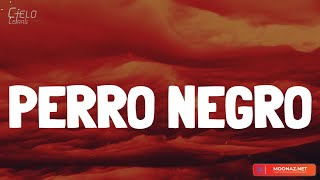 Bad Bunny - PERRO NEGRO (Lyrics/Letra)