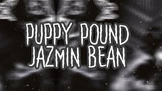 Puppy Pound-Jazmin Bean- Lyrics