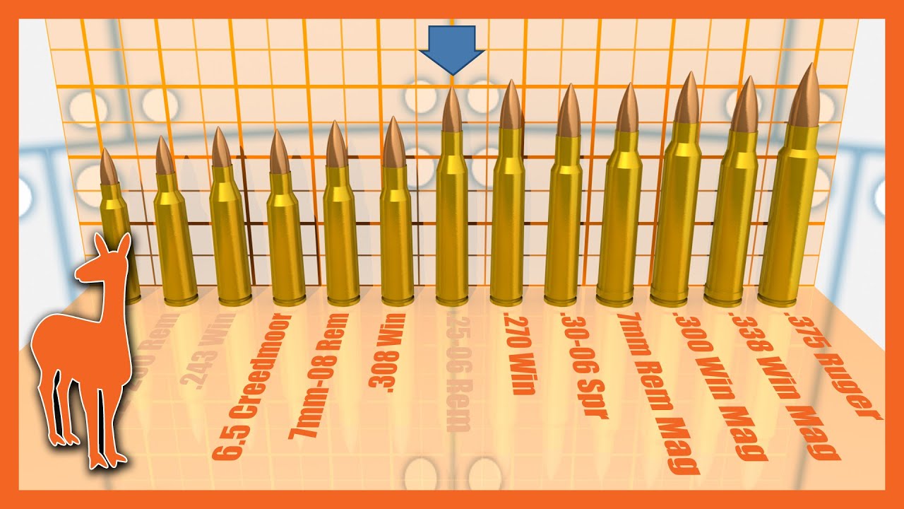 1000 Yard Savage Axis Rifle: Which Cartridge is Best? | The Social