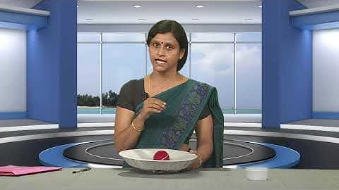 Kepler’s laws of planetary Motion