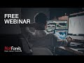 Hedge and Hold Forex Trading Strategy