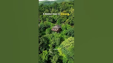 Best Resort in Coorg | Budget Friendly Stay In Coorg | Coorg Resort For Couples With Private Pool