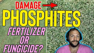 Phosphites For Lawns - Fertilizer Or Fungicide