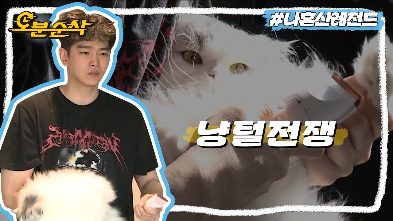 [#나혼자산다] 귱집사와 네 고양이의 숨막히는 대치😼 털로 시작해서 털로 끝나는 고양이 집사 윤균상의 아침🪒ㅣ나혼자산다⏱오분순삭 MBC190308방송