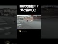 実は大間違い!? 犬と猫の「しつけの難易度」の違い