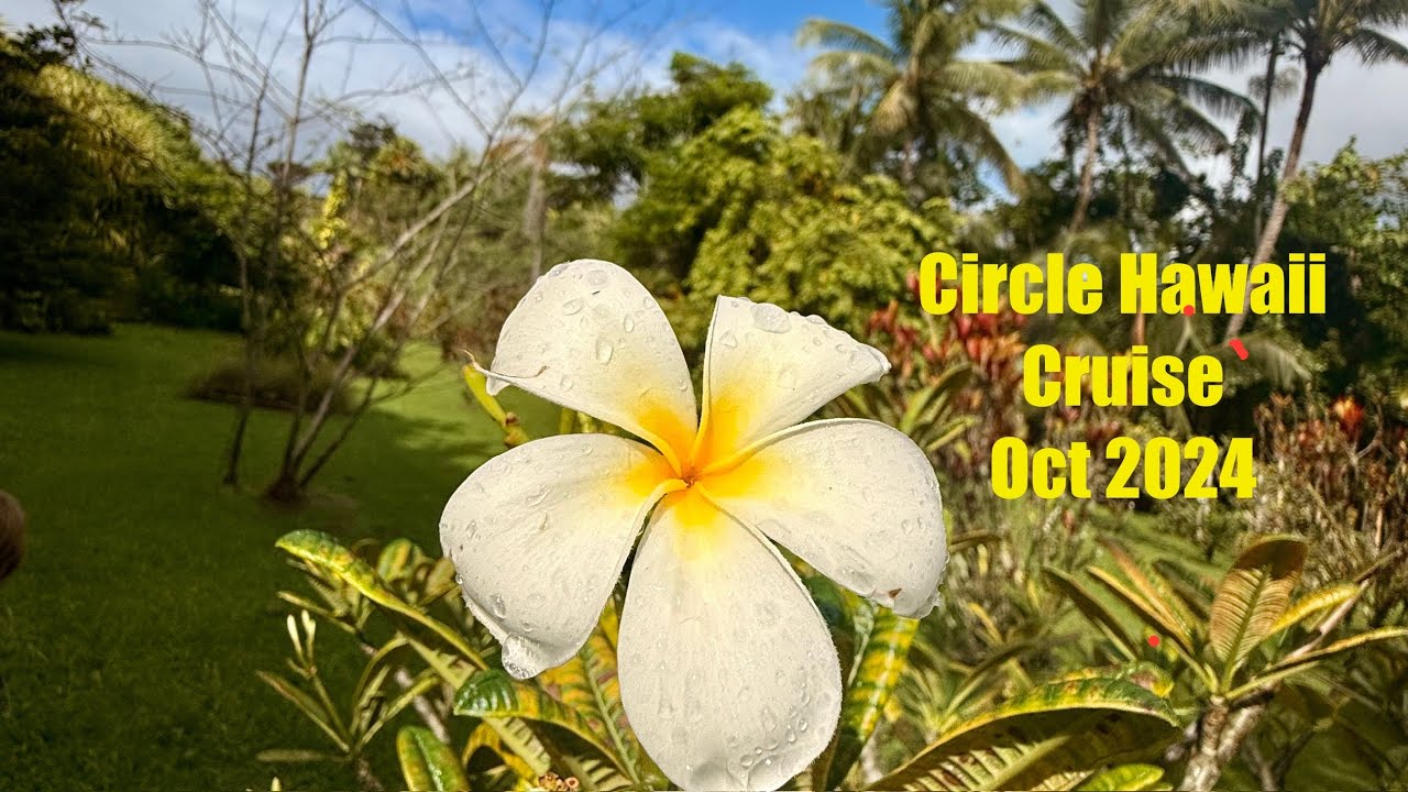 Circle Hawaii Cruise Highlights - Holland America Koningsdam Oct 2024