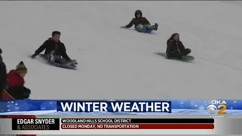 Young Sledders Rate Dormont Park Snow Day '10 Out ...