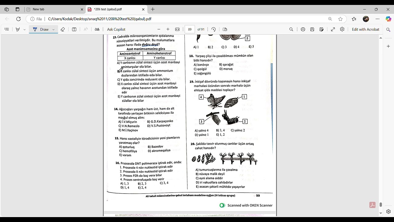 DİM QƏBUL TİPLİ 20li sinaqlar. Ümumi Sınaq 20 izahı.