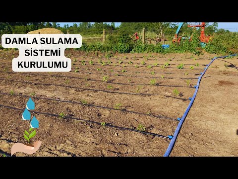 DAMLA SULAMA SİSTEMİ KURULUMU / SEBZE BAHÇEMİZE DAMLA SULAMA KURUYORUZ...