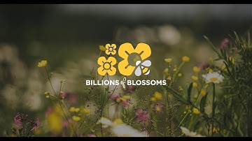 Billions of Blossoms - creating and protecting habitat for pollinators