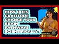 How Does Gratitude Change Your Brain Pathways Scientifically? - Beyond Borders Etiquette